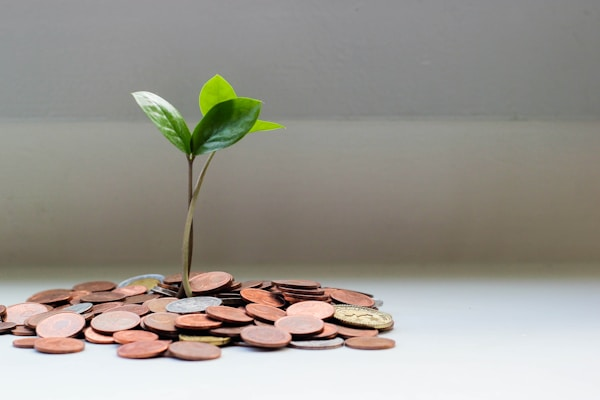 Debt Recovery Strategies